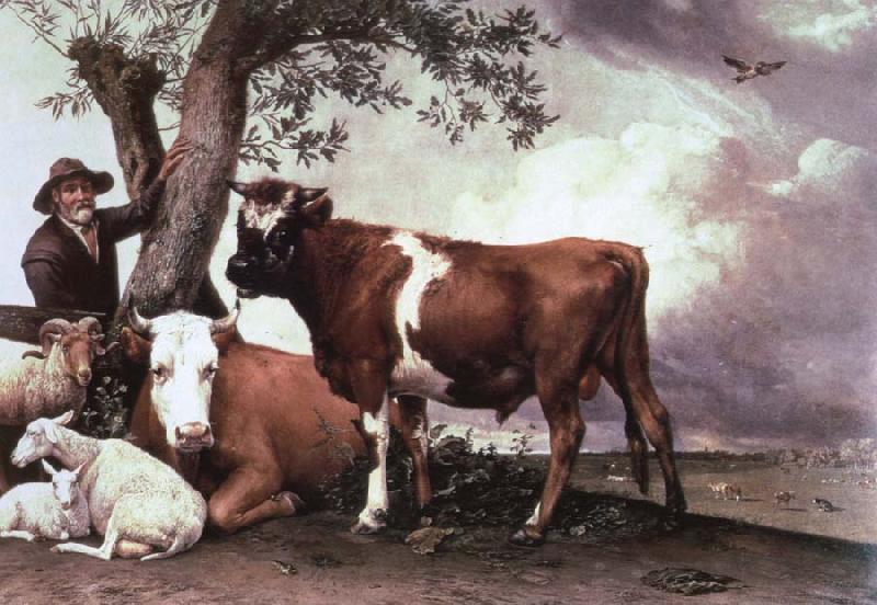 POTTER, Paulus the bull Sweden oil painting art